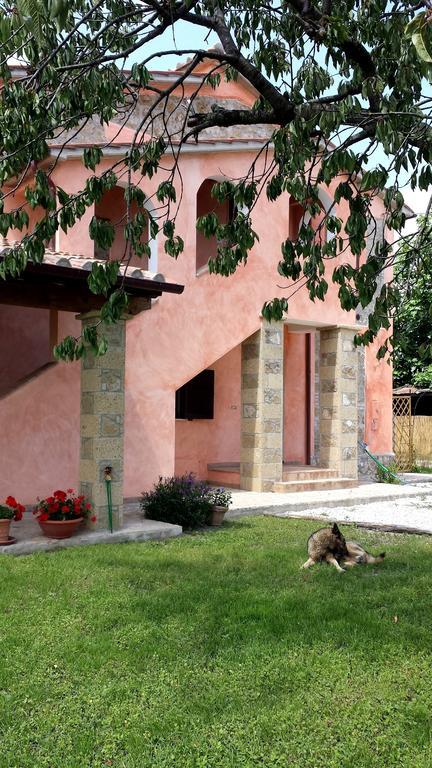 Agriturismo Airone Pitigliano Zewnętrze zdjęcie
