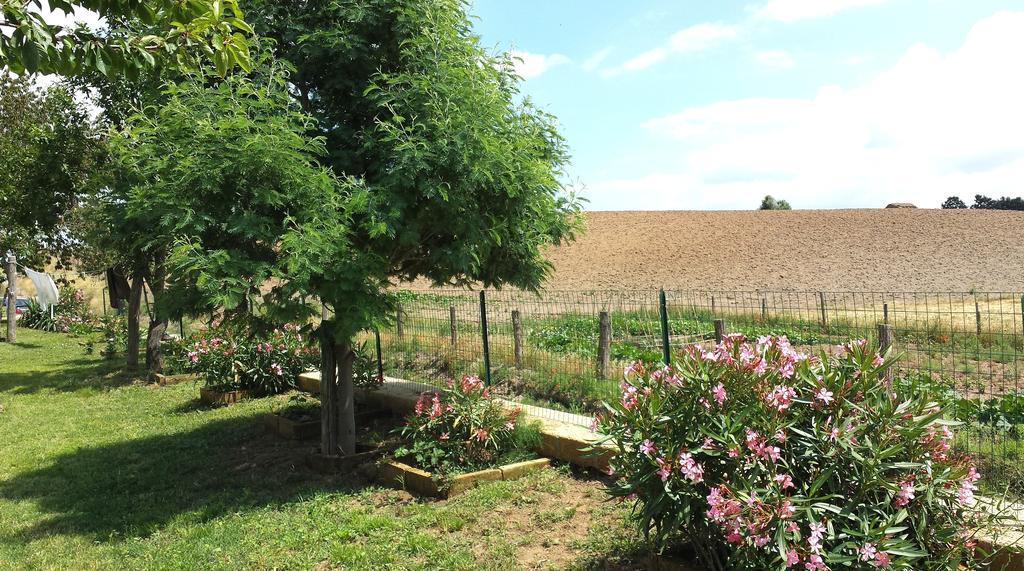 Agriturismo Airone Pitigliano Zewnętrze zdjęcie